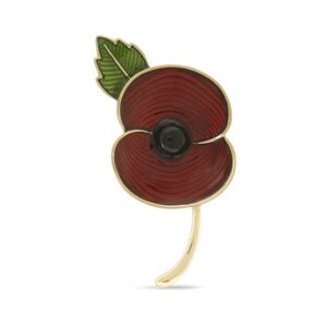Off 20% The Poppy Shop Ripples of Remembrance ... Poppy shop